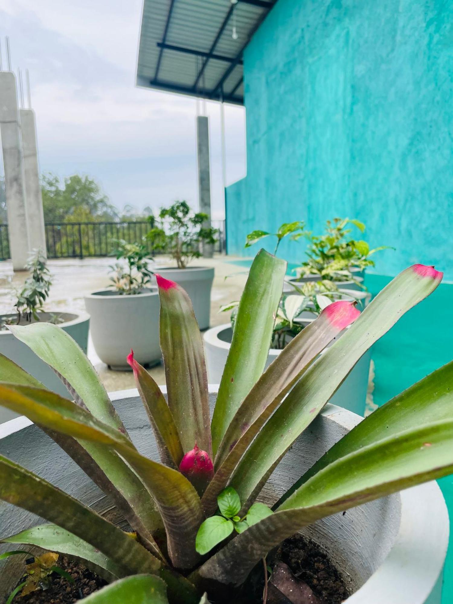 Little Paradise Homestay Ella Luaran gambar